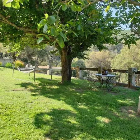 Bas De Chez Mr.girolami Dominique * 바스티아